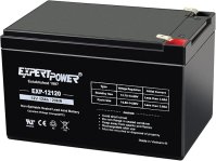 Expert Power Acid Battery